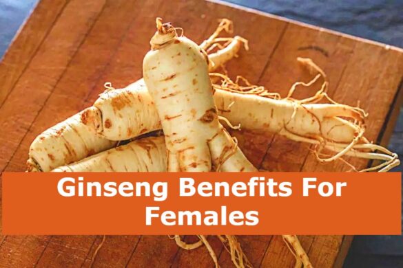 ginseng-skin-benefits